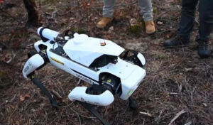 Роботски кучиња ја чуваат пченката: Хаваи воведува висока технологија во земјоделството