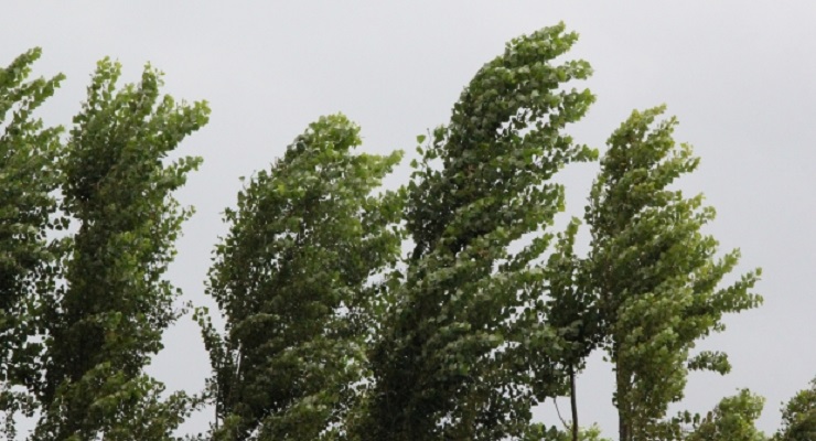 Сончево, но ветровито: Налети над 60 км на час долж Повардарието