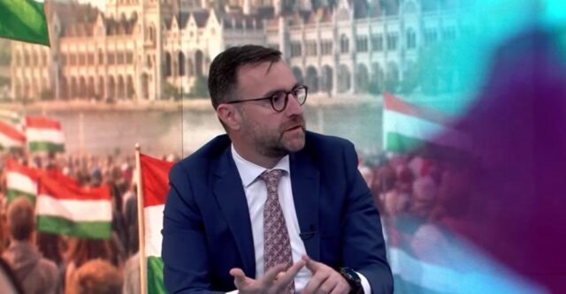 Димовски: Постапката за екстрадиција на Груевски може да трае со месеци и години