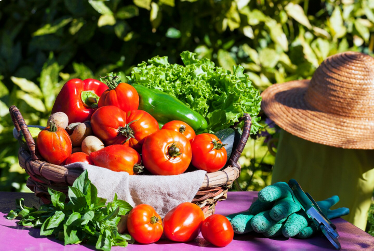 Ова е листата на земји кои можат самите себеси да се прехранат
