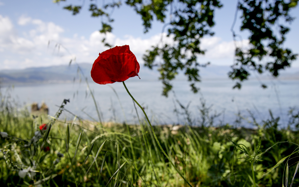 Облачно со врнежи од дожд, на планините од снег
