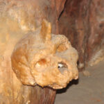 Црвени Стени – порта кон длабоката праисторија