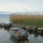 Децениска негрижа за Шум без кревање шум