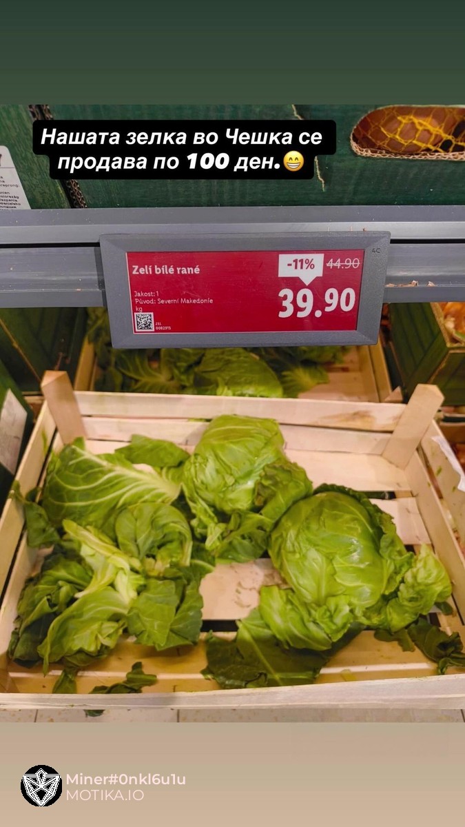 Еве по која цена се продава македонската зелка во Чешка