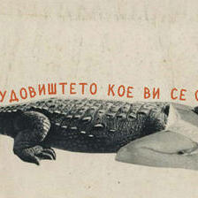 Јас сум чудовиштето кое ви се обраќа (2)