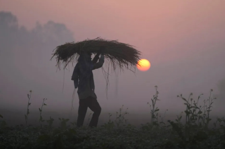 Глобалниот систем за храна е пред колапс