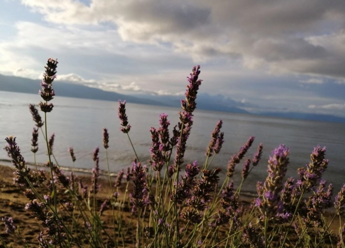 Променливо облачно со повремени локални врнежи од дожд
