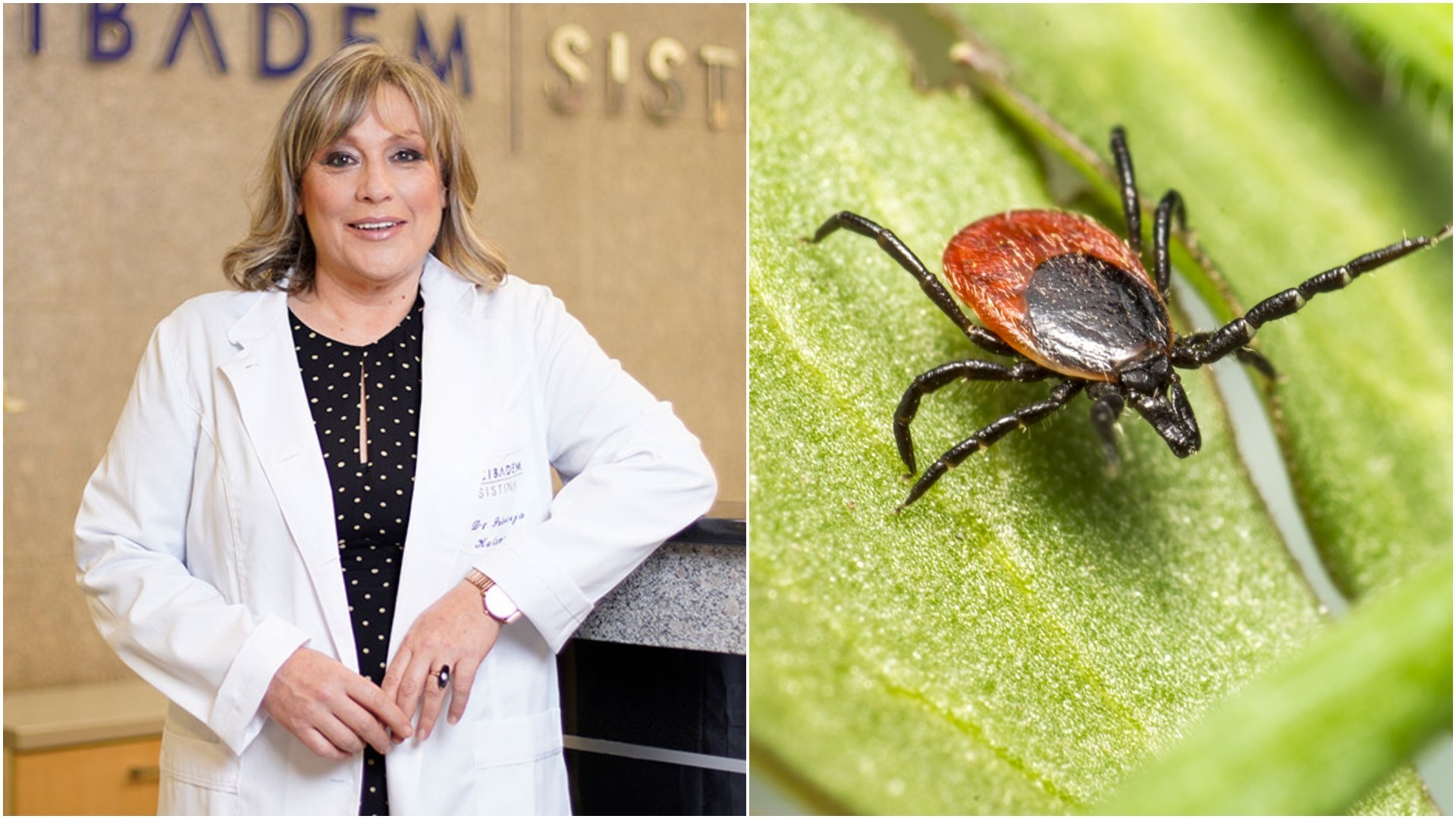 Крлежите најчесто се кријат на вратот, пазувите и зад колената – места што ретко ги проверуваме: Доц. Д-р Патриција Каламарас советува како да се заштитиме