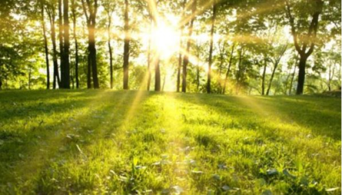 Сончево и топло до 22 степена