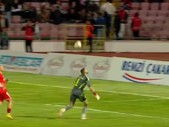 Голман вртелешка