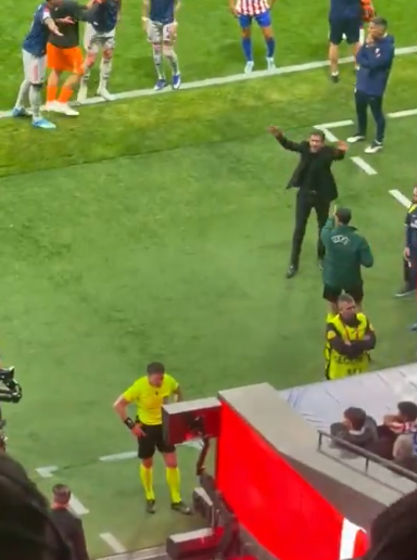 Симеоне му мафташе на судијата додека го гледаше варот (ВИДЕО)