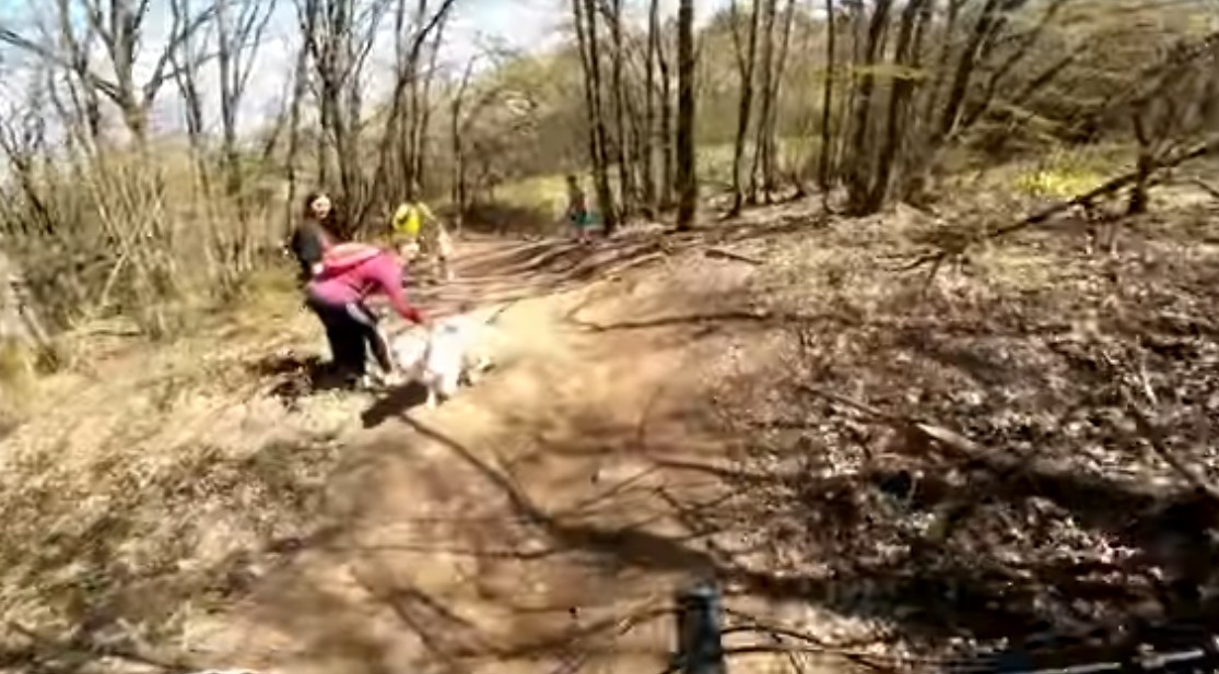 ВИДЕО: ИНЦИДЕНТ НА ВОДНО – Велосипедист спречен од пешак да вози на патеката, пешакот повика полиција
