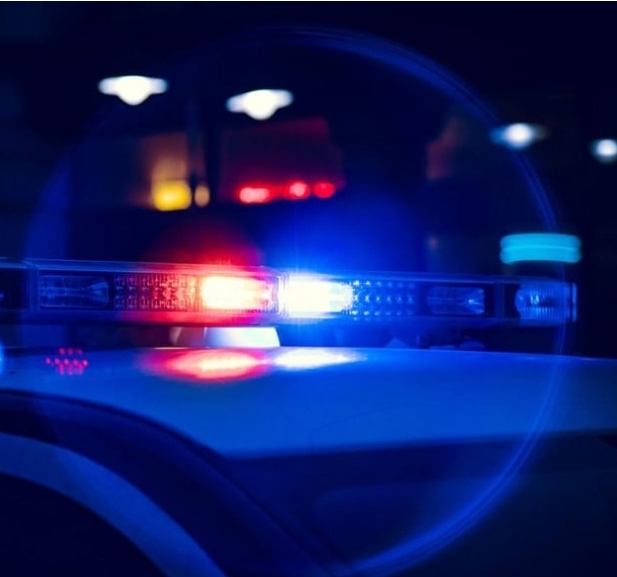 Во земја за цвеќиња скриле повеќе од 1,1 тон кокаин