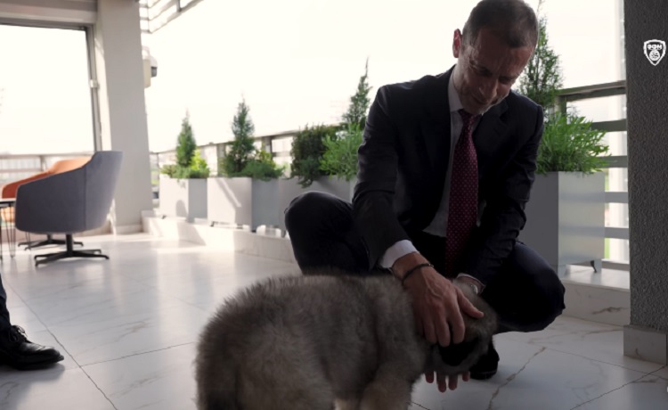 Чеферин доби прекрасен подарок од ФФМ – македонски шарпланинец (ВИДЕО)