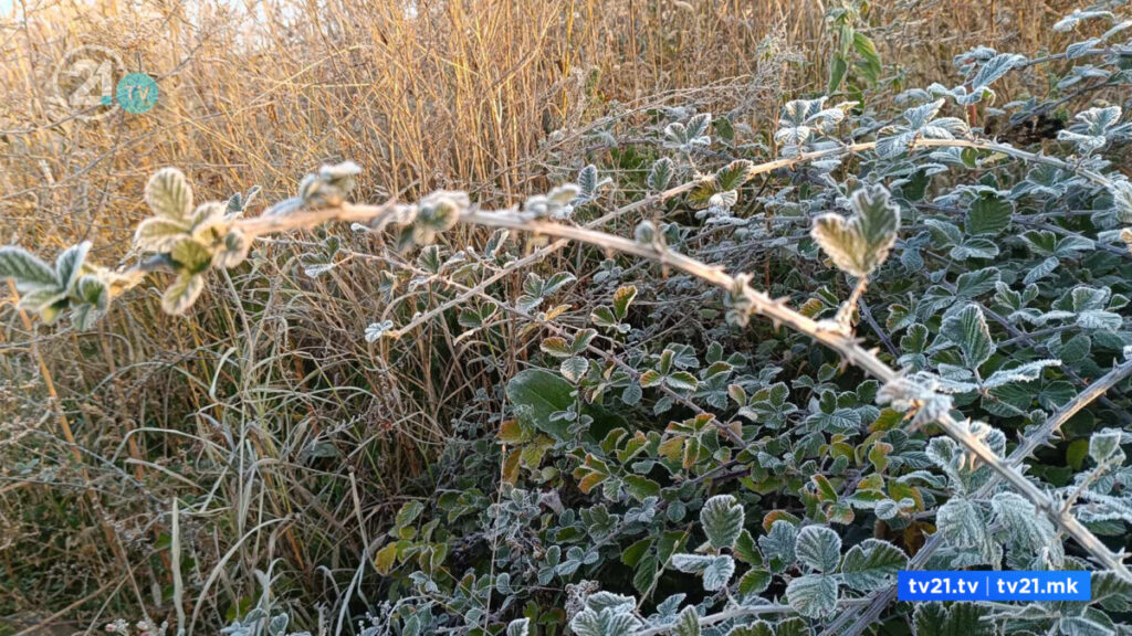 Во Берово утрово температурата беше нула