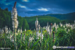 Викенд временска прогноза