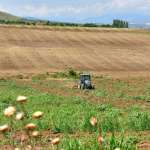 Исплатени близу 94 милиони денари кон околу 2.430 земјоделци