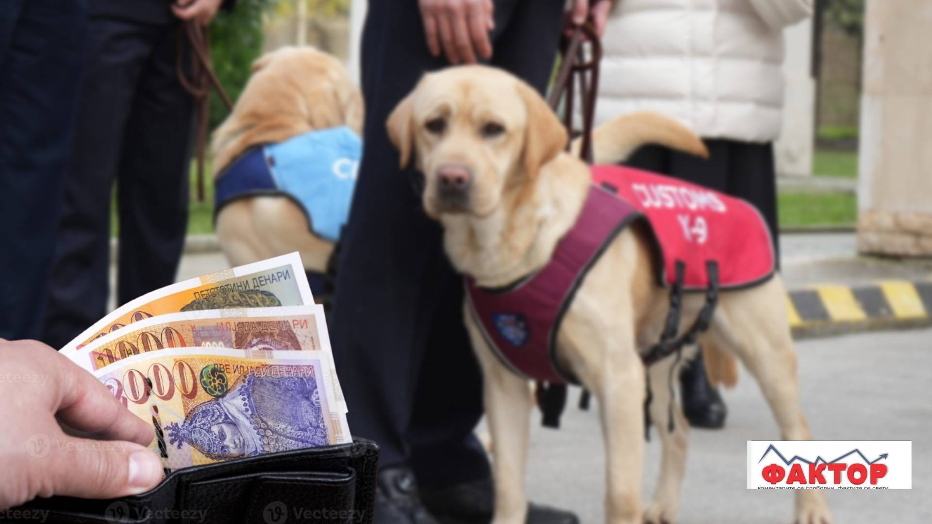 Зголемен бројот на царински службеници во текот на минатата година, просечната плата е 950 евра