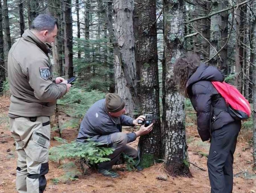 Поставени 40 камери за мониторинг на Националниот парк Пелистер