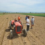 Почна пролетната сеидба на житни и индустриски култури во Пелагонија