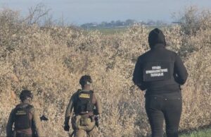 Вучиќ: Осуетивме напад што можеше да ги остави Србија и Унгарија без гас