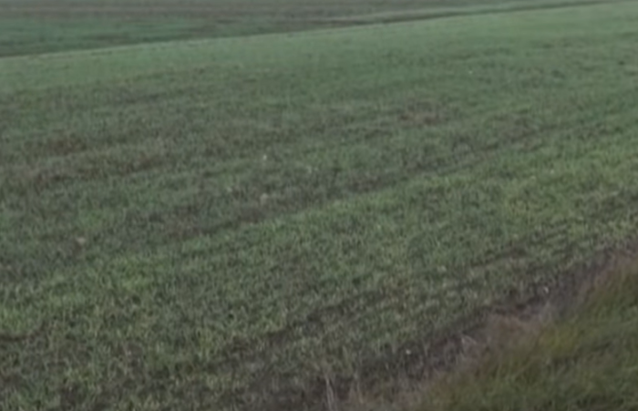 Исплатени близу 94 милиони денари кон околу 2.430 земјоделци