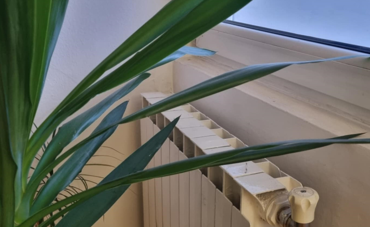 Поради ниските температури, греењето продолжува уште два дена во Скопје