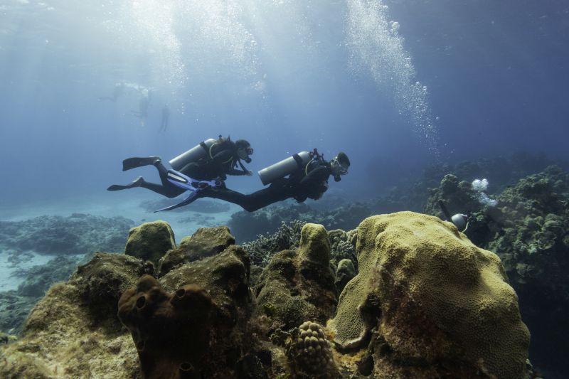 Тинејџер нурна во морето и наиде на древен монструм – погледнете што открил