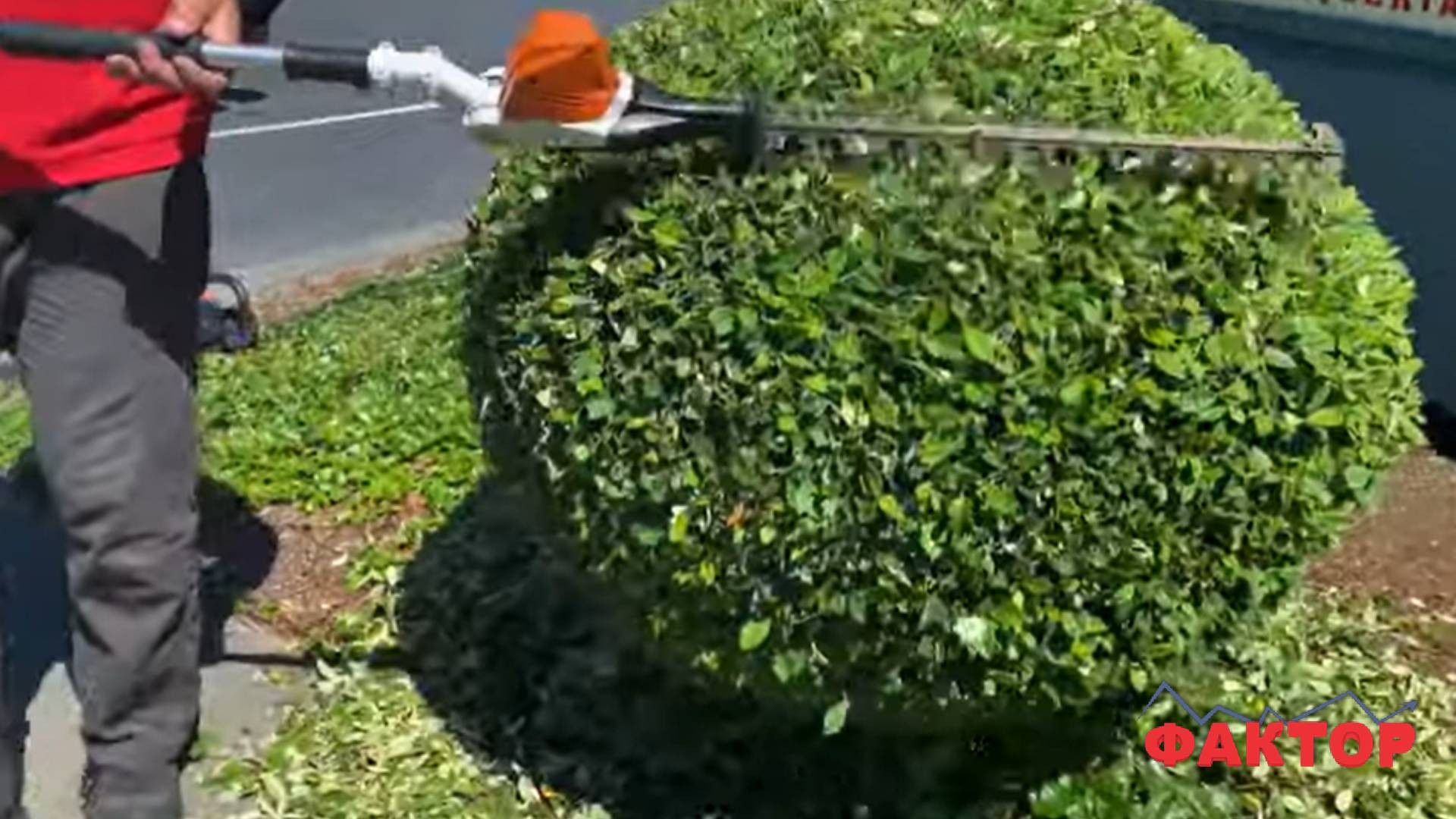 Колкава дневница може да заработи градинар во Македонија?