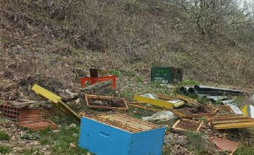 Дваесетина сандаци со пчелни семејства уништени деновиве од мечка во охридското селото Речица