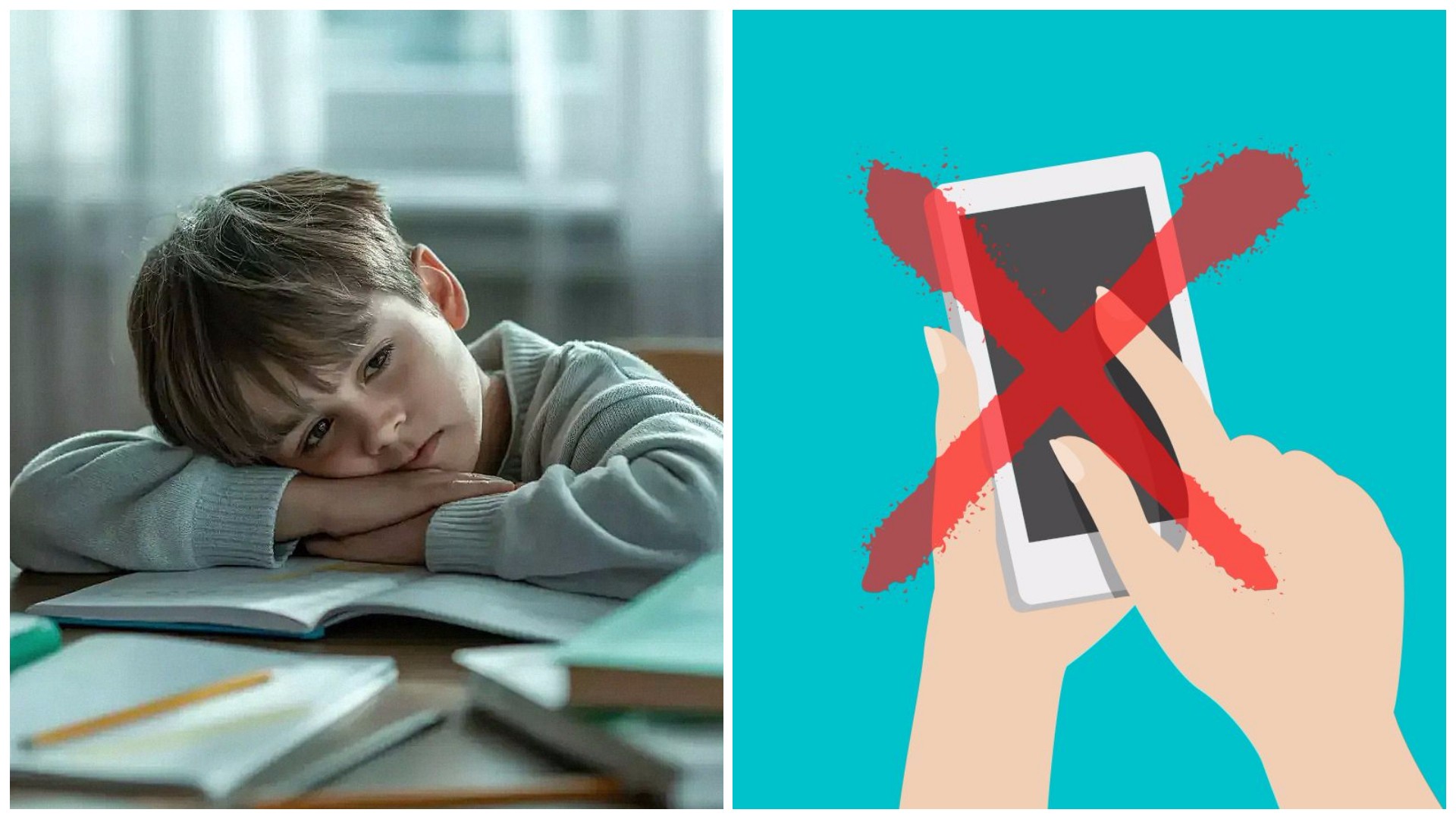 Синот е прваче во скопско училиште и немаме „Вибер“ група – Може ли да се образуваат децата без постојана комуникација со наставниците?