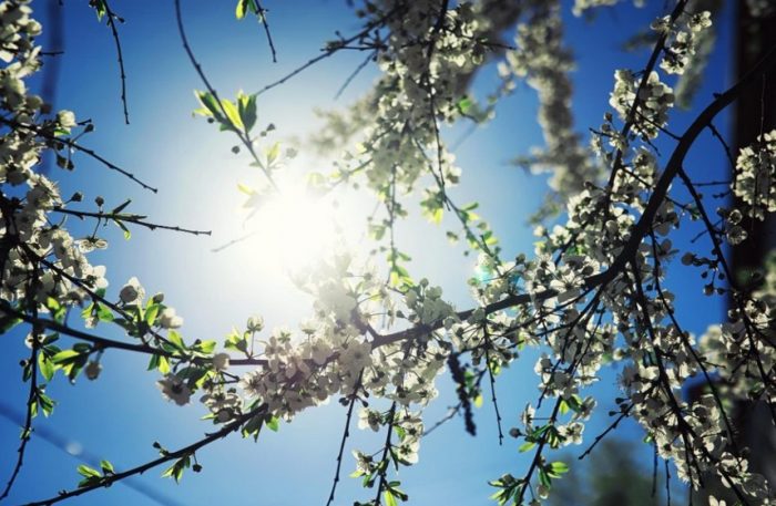 ВРЕМЕ: Сончево и топло до 25 степени, од утре до крајот на неделата променливо со врнежи од дожд и пад на температурата