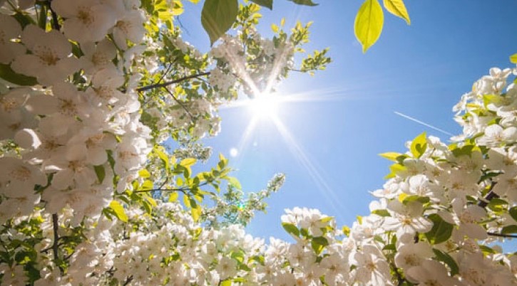 Времето денеска: Сончево со температура до 23 степени