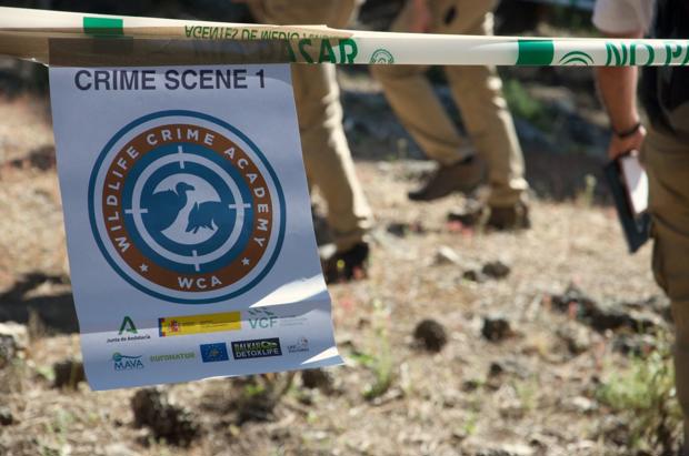 Црна Гора ја зајакнува борбата против криминалот врз дивите животни