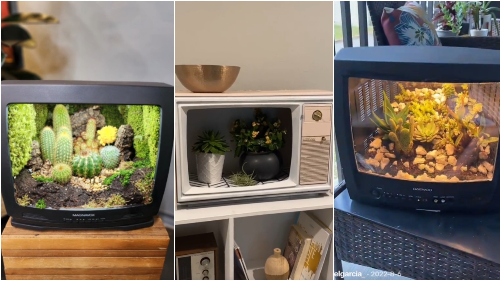Овој „направи сам“ проект ги воодушеви љубителите на собни растенија: Сите ги бараат старите телевизори! (ВИДЕО)