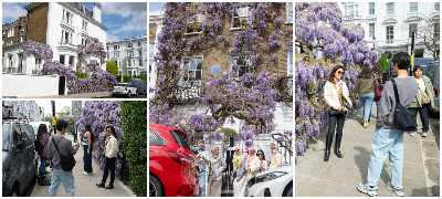 Луѓе од Лондон мака мачат со инфлуенсерките: Се фотографираат пред нивната куќа, оставаат ѓубре, ги оштетуваат растенијата