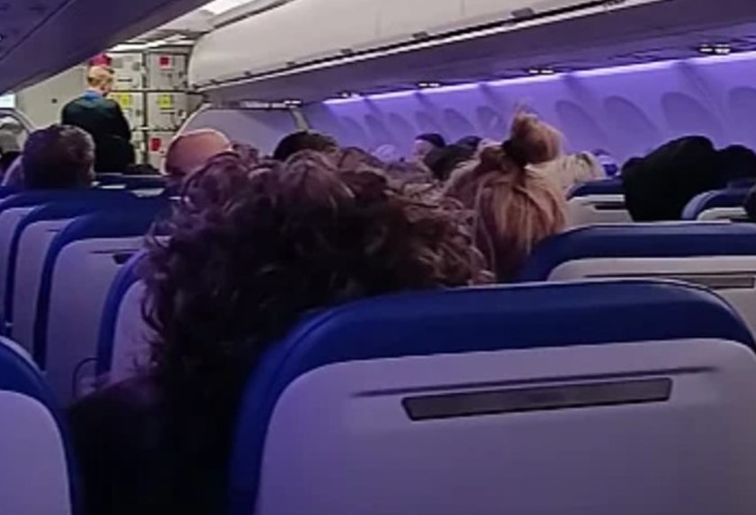 Босанци пласманот на Мундијалот го прославија на небото над Германија (ВИДЕО)