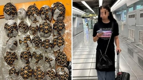 Шок на аеродромот во Бангок: Тинејџерка сокрила 30 желки под облеката
