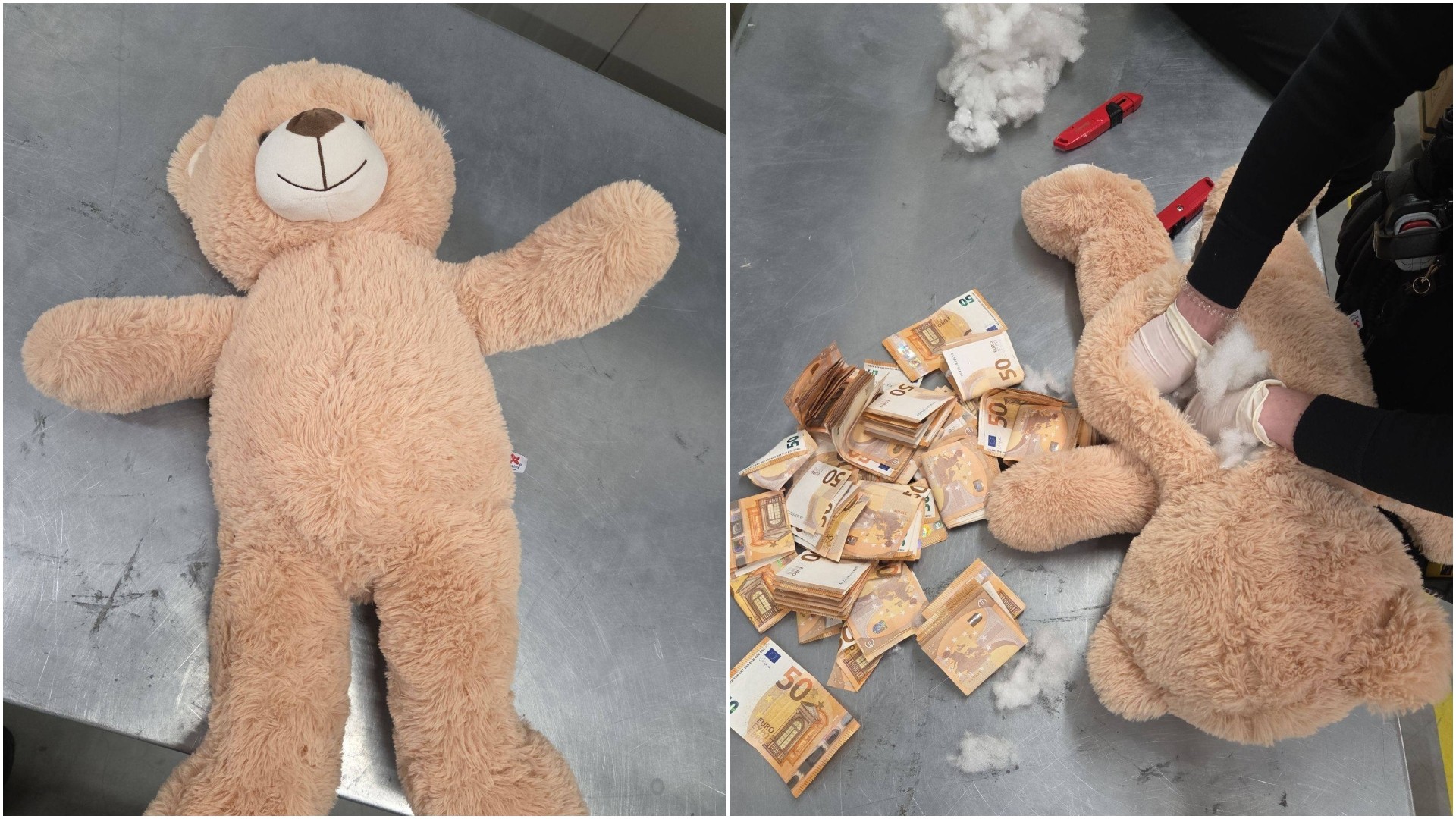 Пронајдени 50.000 евра во мече: Како толку пари завршиле во детска играчка?