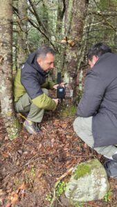 40 мониторинг камери поставени во националниот парк „Пелистер“