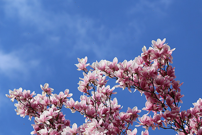 Сончево и топло до 25 степени