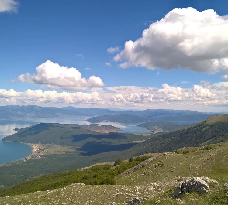 Кривична пријава против в.д. директорката на Националниот парк „Галичица“ – дозволила градежни активности во заштитена зона