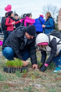 Вработените од Телеком пошумуваа на Јасен