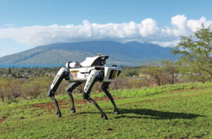 Роботи кучиња на Баер ги штитат посевите со пченка вредни повеќе милиони долари