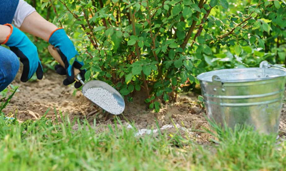 Ќе се ограничи маржата на вештачките ѓубрива