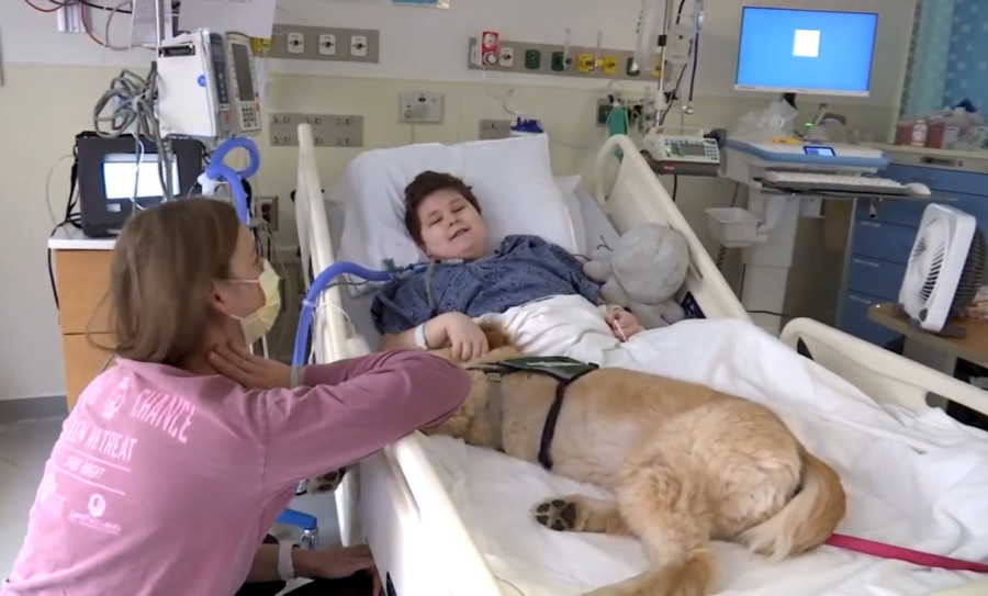 Кучиња што лечат со љубов: Сцени од болница што ќе ви го стоплат срцето (ВИДЕО)