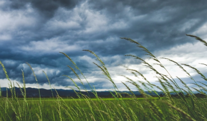 Променливо време со силен ветер и дожд од средината на неделата