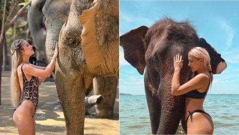 Македонскиот модел и инфлуенсерка Илариа Кирилова и фолкерката Џесика Палашоска на Тајланд го галеа слонот по сурлата, само што кај двете тој различно изреагира?