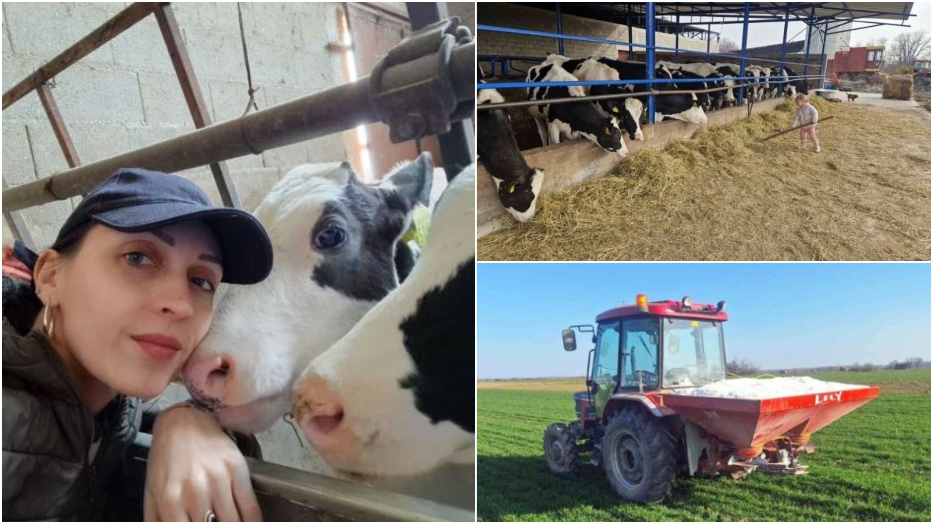 Сите бегаат во град, но Тамара го направи спротивното: Се омажи на село и започна бизнис, обработува 200 хектари и произведува 800 литри млеко дневно