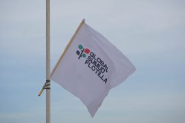 Активисти од флотилата што се упати кон Газа се појавија пред израелски суд